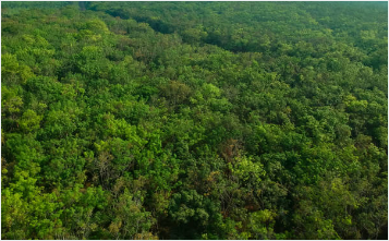 화담숲 모노레일 예약