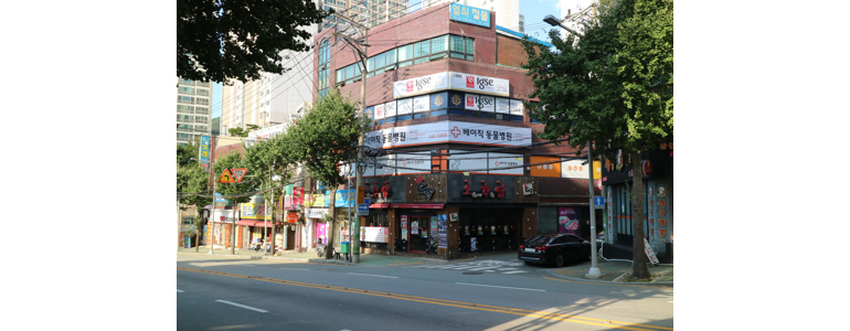 부산 북구 동물병원