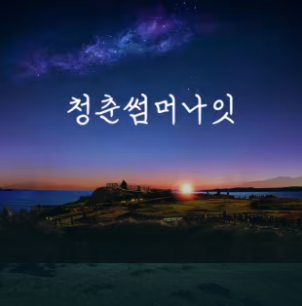 청춘썸머나잇 2024 고양 예매 티켓 할인 꿀팁