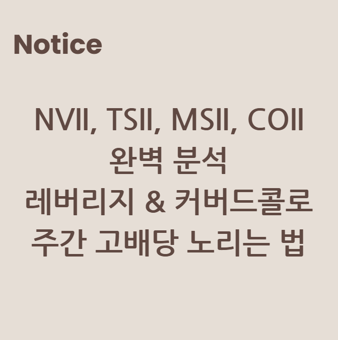 NVII, TSII, MSII, COII 완벽 분석 - 레버리지 &amp; 커버드콜로 주간 고배당 노리는 법