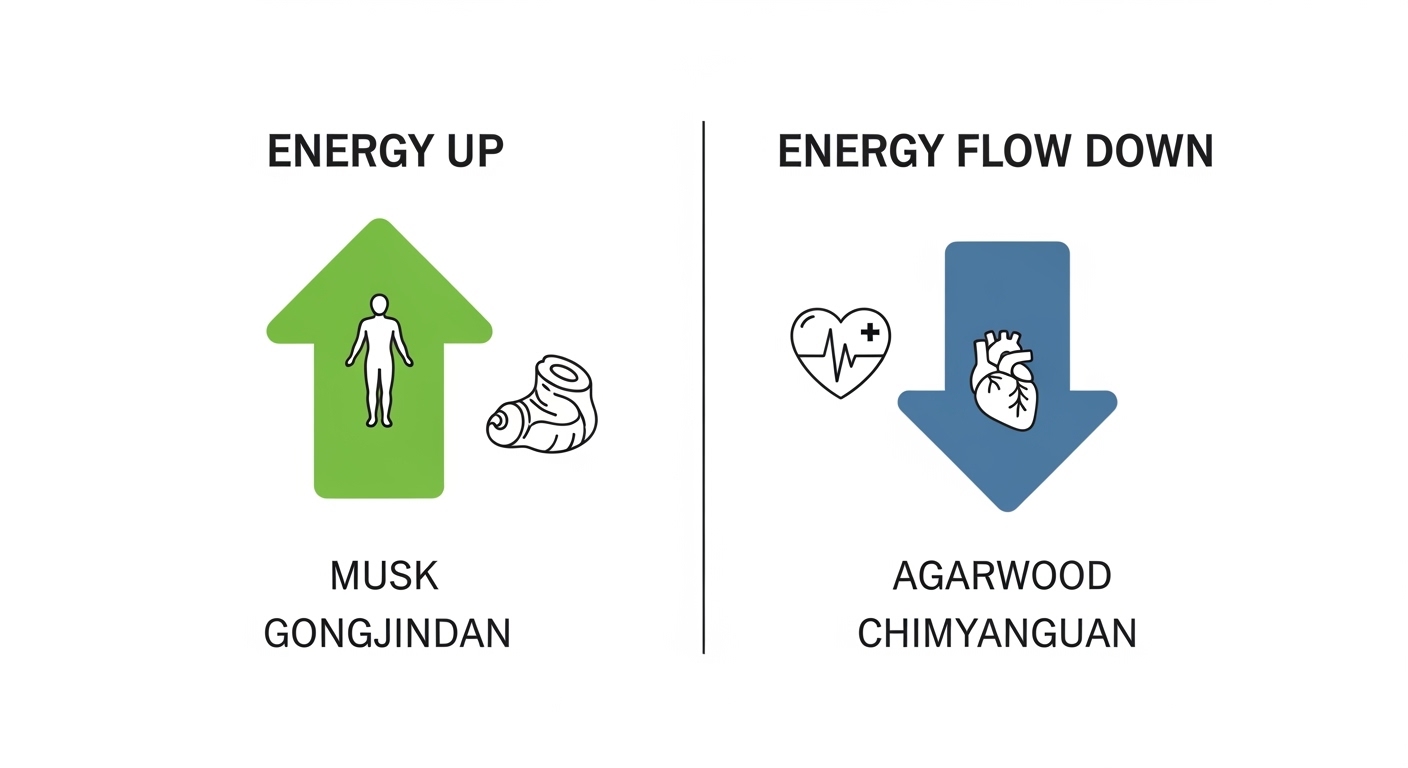 공진단침향환차이효능