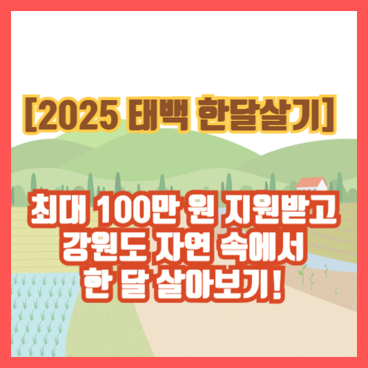[2025 태백 한달살기] 최대 100만 원 지원받고 강원도 자연 속에서 한 달 살아보기!