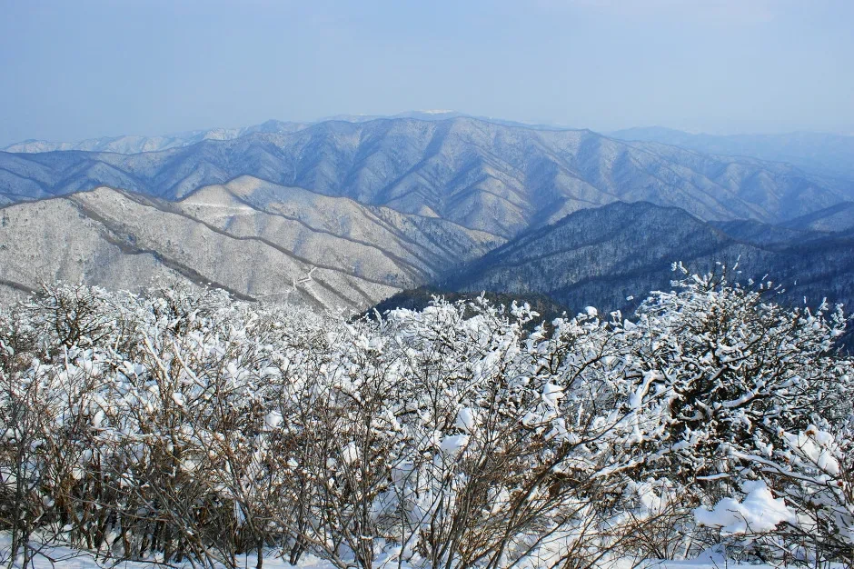 오대산 등산코스 등산지도