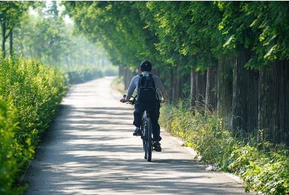 기초연금 탈락사유 TOP5 – 이것 때문에 못 받았습니다