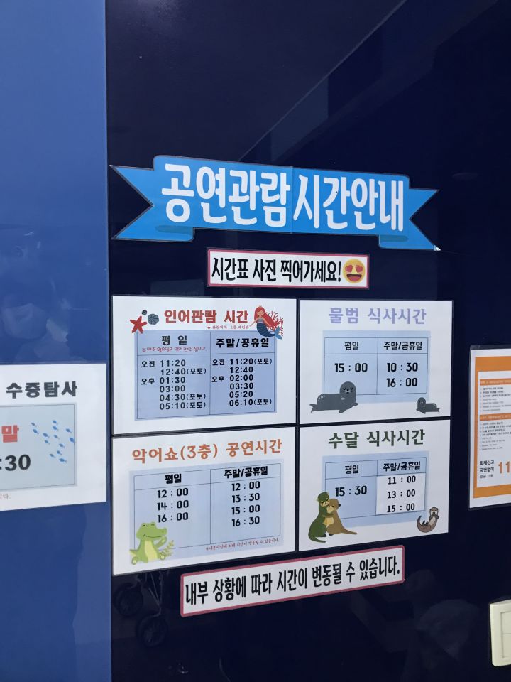 대전-아쿠아리움-동물-공연-시간표