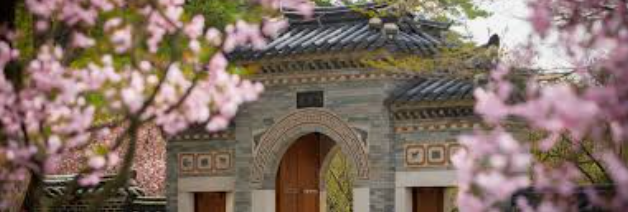 에버랜드 비밀의 은행나무숲 예약방법(50년 만에 첫 공개) 프로그램 정보