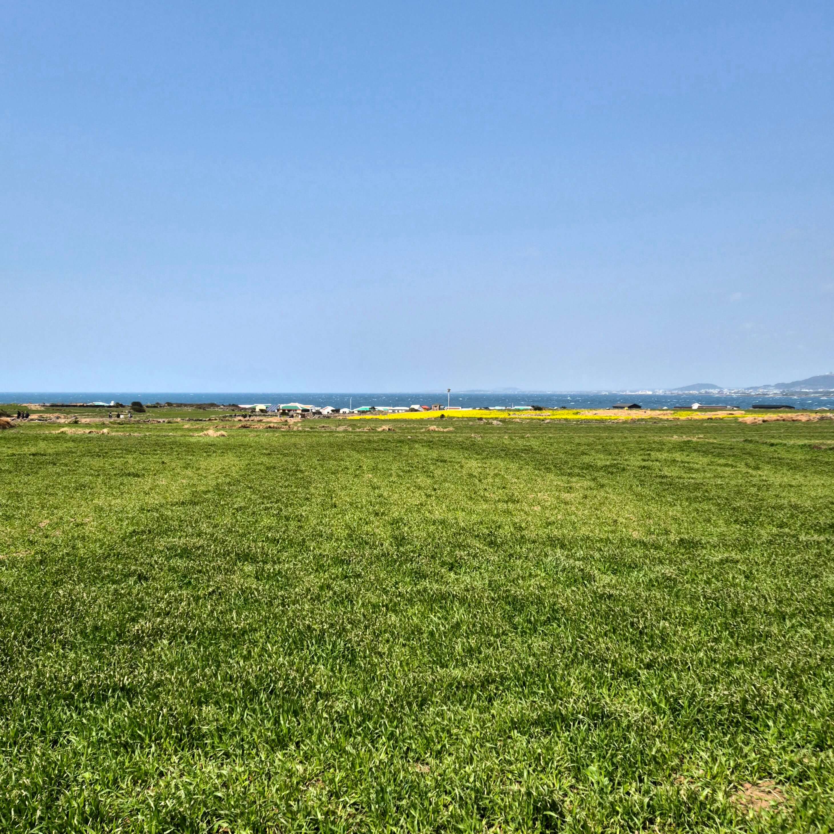 카드빚 탕감 신청, 신용카드 채무조정, 리볼빙 탕감, 신용회복위원회 카드빚, 국민행복기금 감면, 연체자 카드사 대응, 개인회생 카드빚