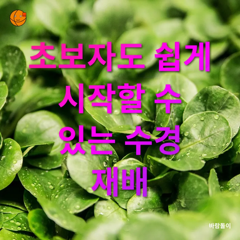 수경 재배_2