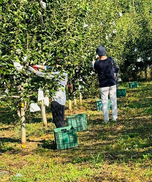 전남 강진 그린시스 농장