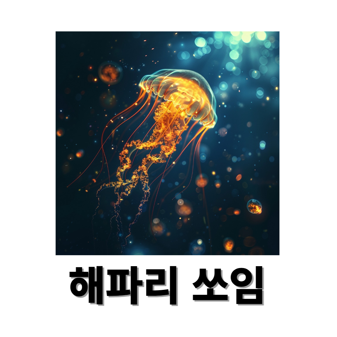 해파리 쏘임과 관련된 사진입니다.