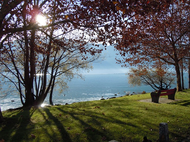 유재석 캠프 신청