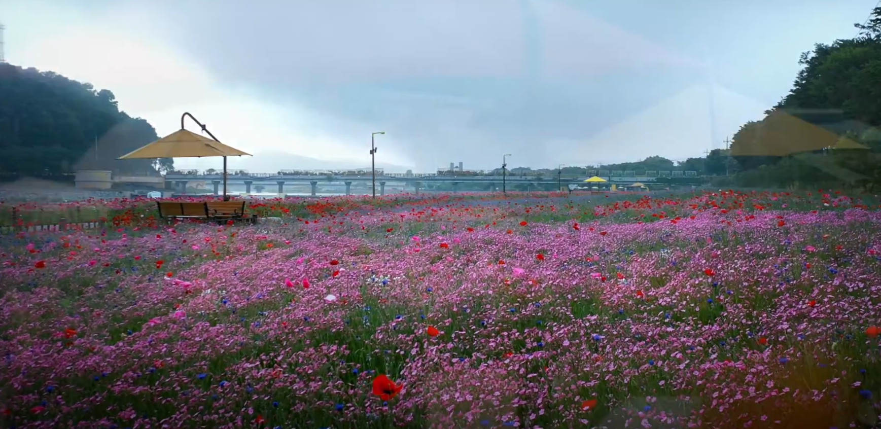 장성군, 인구 감소 시대 희망을 심다: 민선 8기 3년의 놀라운 변화!