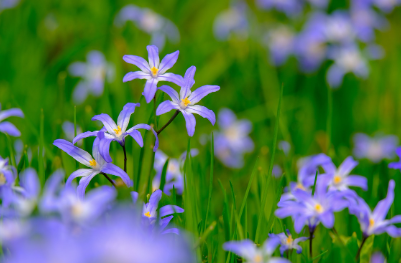 화담숲-예약하기