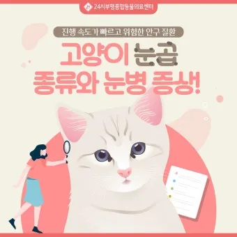"고양이