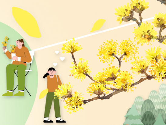 구례산수유축제