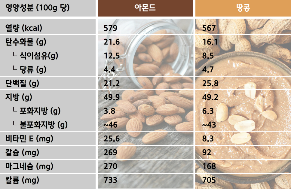아몬드-땅콩-영양성분-차이