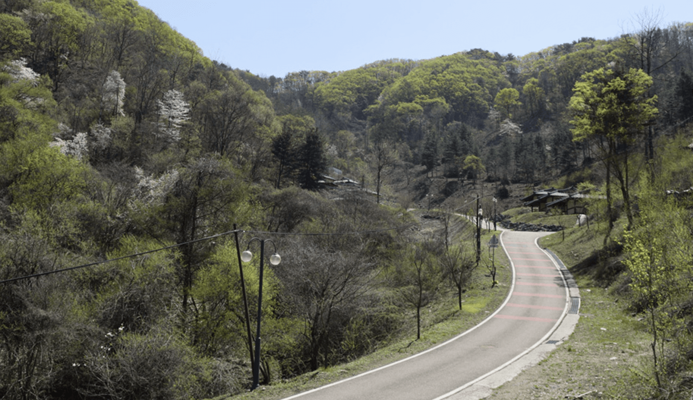 양평 남겨서 뭐 하게 맑은숲캠프