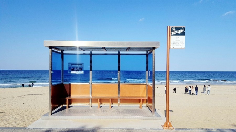 강릉 핫플레이스