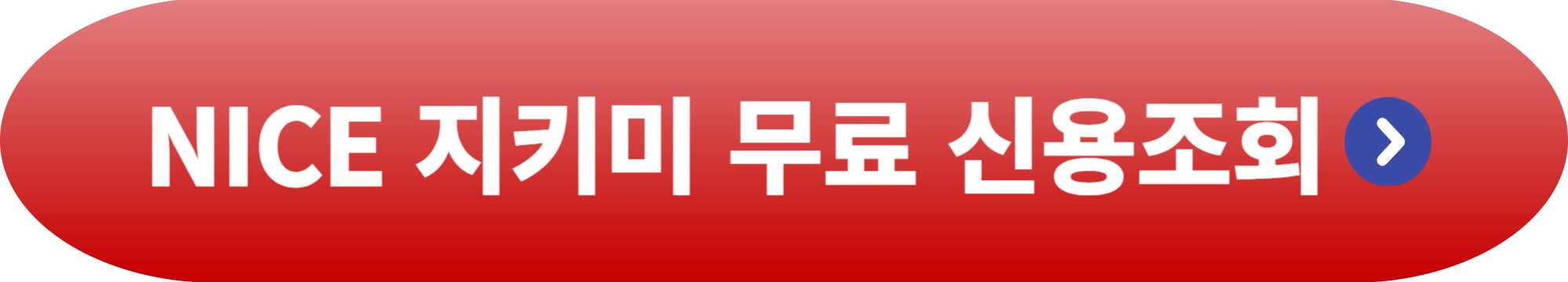 신용 점수 확인