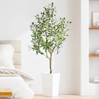 올리브 나무 키우는법 5가지 치명적 실수와 해결책 총정리를 안내_23