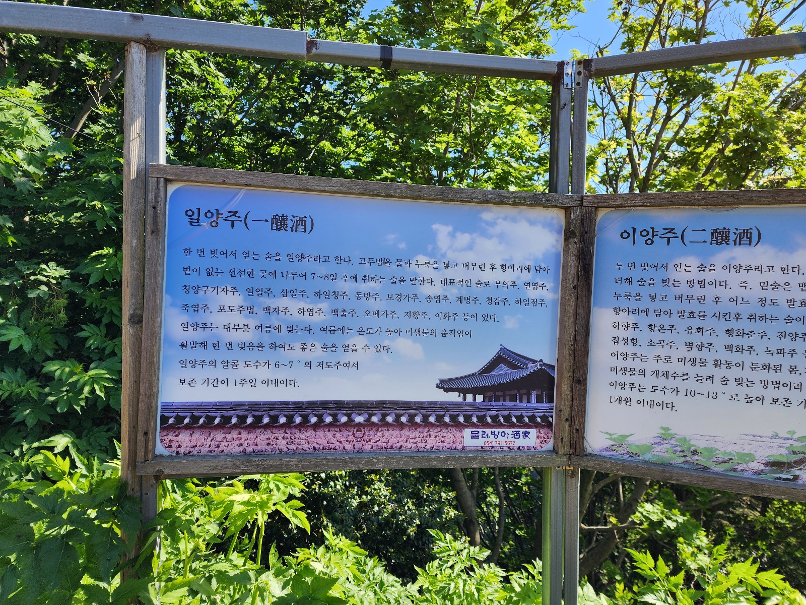 일양주 이양주 설명