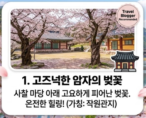 양산 벚꽃 명소