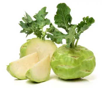 콜라비 효능과 영양성분, 주의점