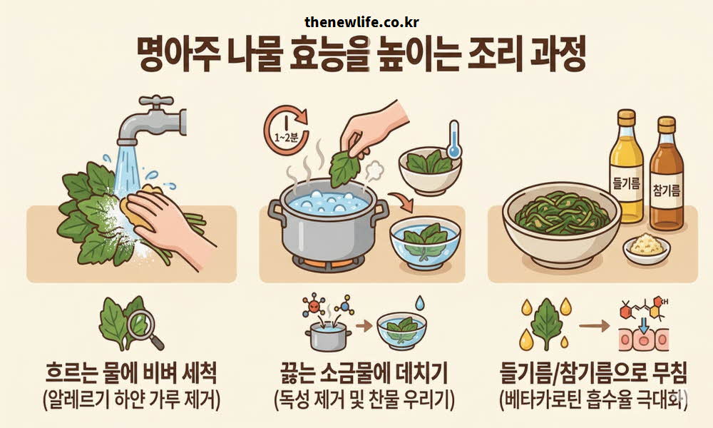 명아주 나물 효능 높이는 조리 과정