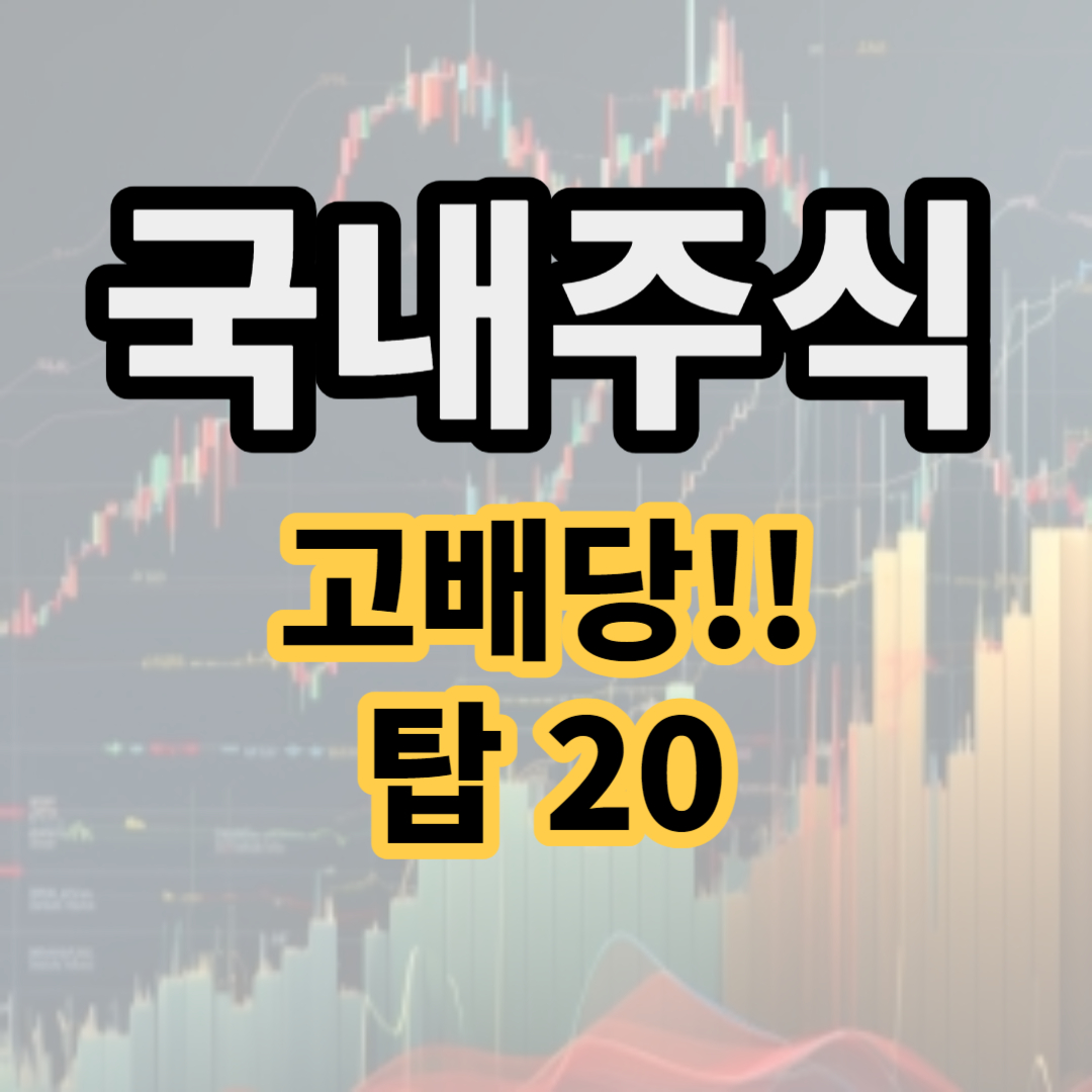 국내 배당주 순위 국내주식 고배당주 추천 롯데케미칼 삼성물산LG유플러스 삼성생명 SK텔레콤