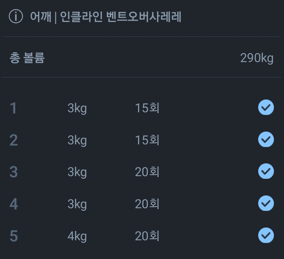 사이드레터럴레이즈