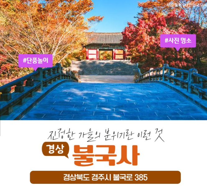 단풍시기