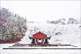 영월 1박 2일 여행 코스 확인하러 가기