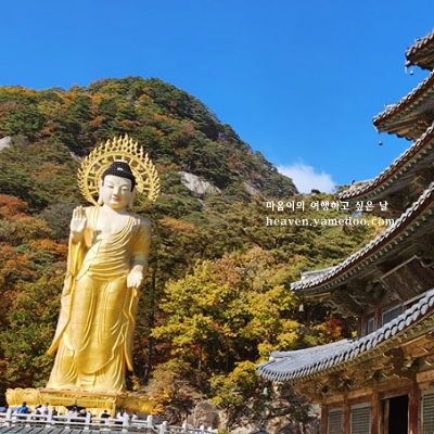 보은 가볼만한곳 베스트10