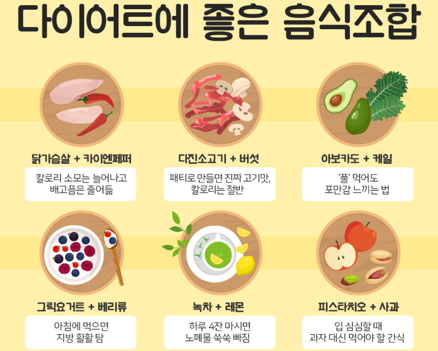 다이어트 음식