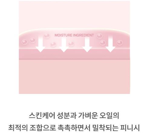 힌스 듀이 리퀴드 치크