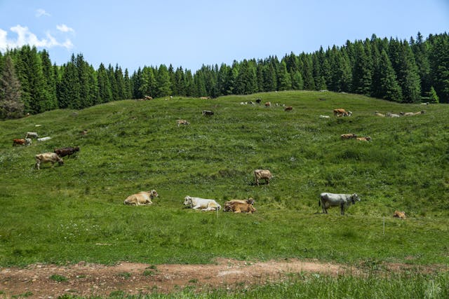 날씨 예보 맑은 날씨