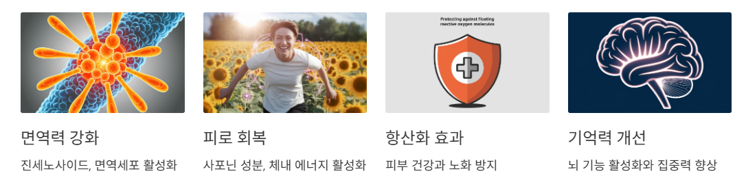 홍삼의 주요 효능