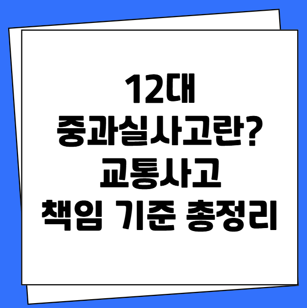 12대 중과실사고 교통사고 책임 기준