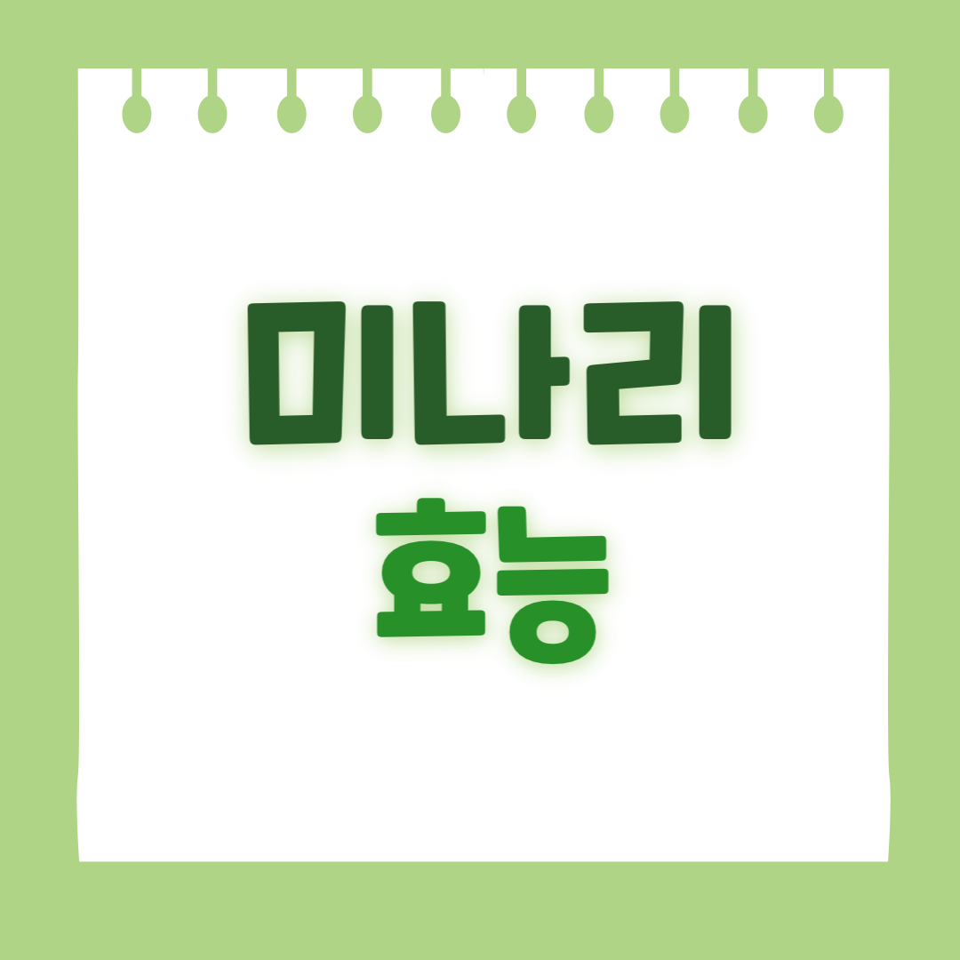 미나리 효능
