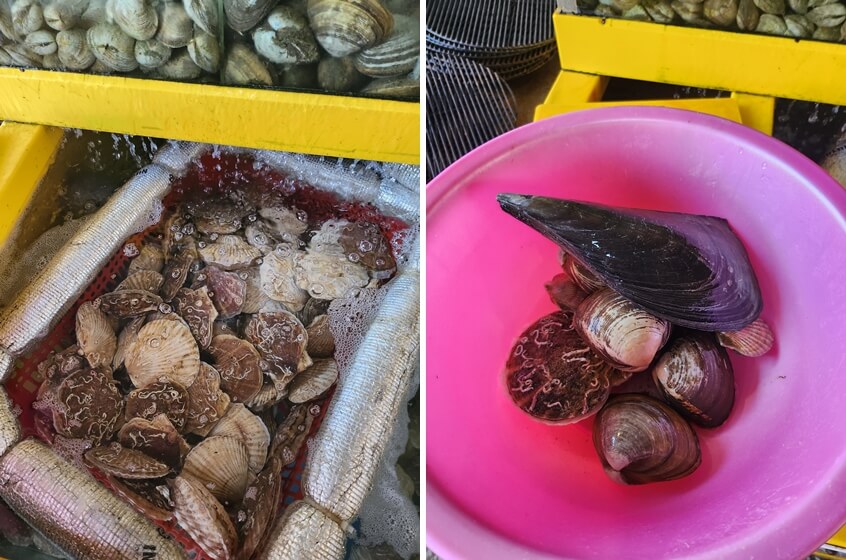 조개