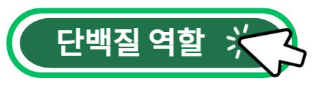 단백질 역할 알아보기