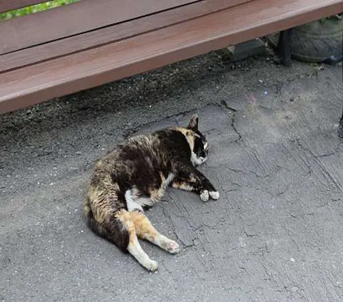 자만벽화마을