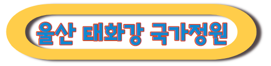 울산 태화강 국가정원