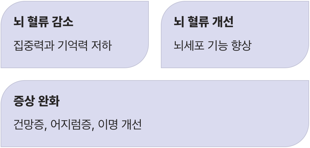 변화 넷 : 깜빡깜빡, 기억력이 돌아온다