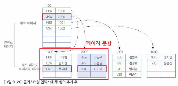 클러스터 인덱스