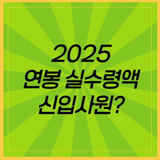 2025 연봉 실수령액, 신입사원이 받는 연봉 실수령액은?