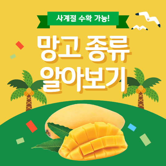 망고