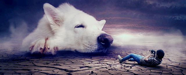 이빨 빠지는 꿈 해몽