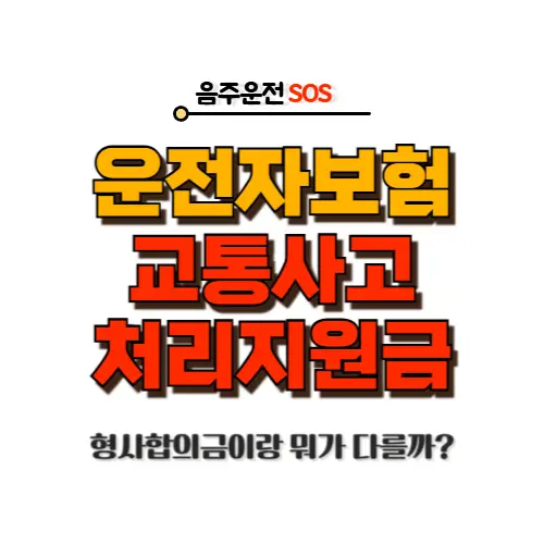 운전자보험 교통사고 처리지원금
