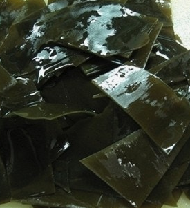 다시마 효능 부작용 칼로리